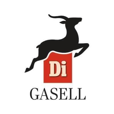 Gasell-priset från Dagens industri